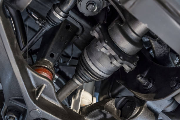 The Dual Role of Control Arm Bushings
