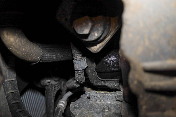 Bad Transmission Mount Symptoms & Replacement Cost: A Complete Guide for Car Owners