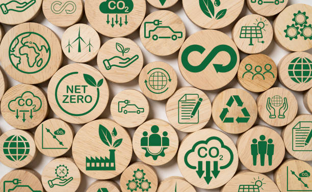Biodegradable and Eco-Friendly Materials in Modern Vehicle Manufacturing